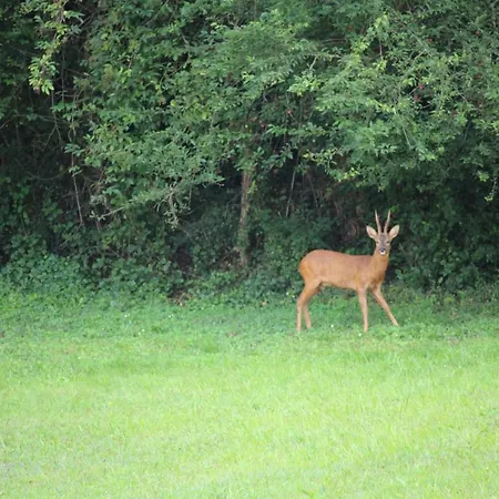La Maison Thimadaise ベッド・アンド・ブレックファスト