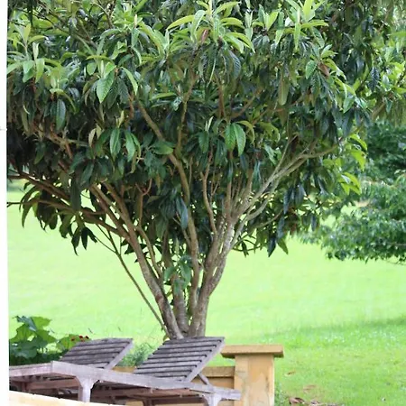 La Maison Thimadaise Couette-café