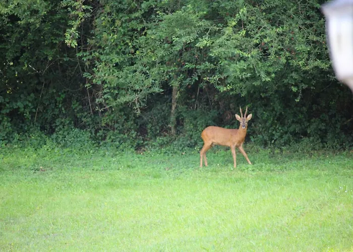 La Maison Thimadaise Bed & Breakfast