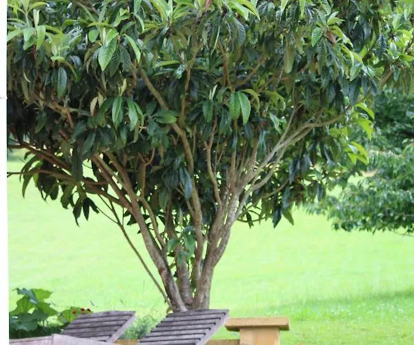 La Maison Thimadaise Bed & Breakfast